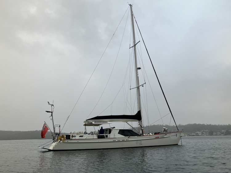 Silver Fern at Deephole Bay