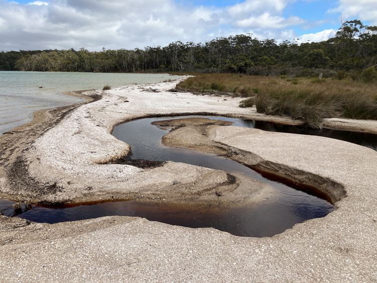 The beach at Southport Lagoon