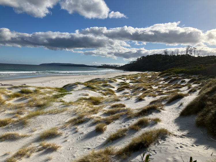 Southport Bluff from Southport Bluff Beach