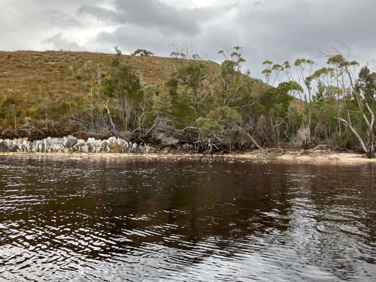 The black water is caused by acidic run-off from the button-grass