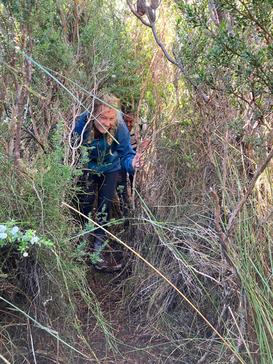 Liv and John in a copse, climbing Mount Rugby in Bathurst Harbour