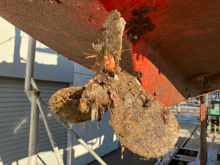 Cheval's propeller in need of antifoul