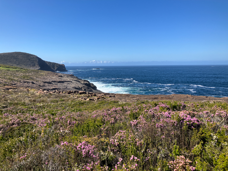 The track from Maingon Bay to Mount Brown