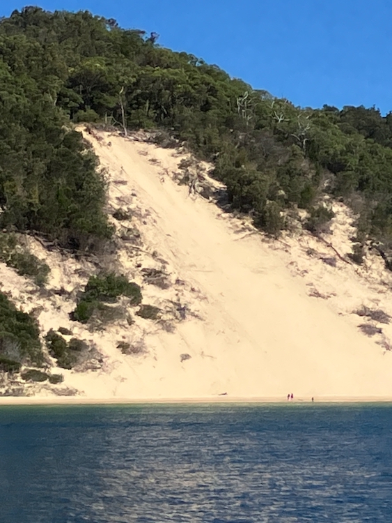 The dunes of Moreton Island