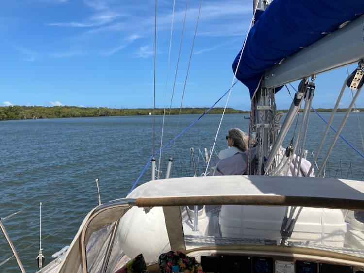 Threading the mangroves near Steiglitz, on the Main Channel